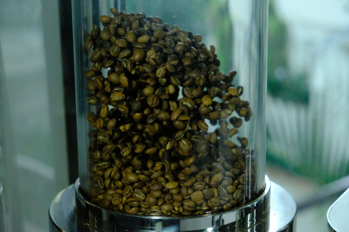 RoastMaxTor precision fluid-bed roaster